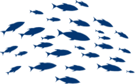 Objectif 1 : Stocks de poisson préservés